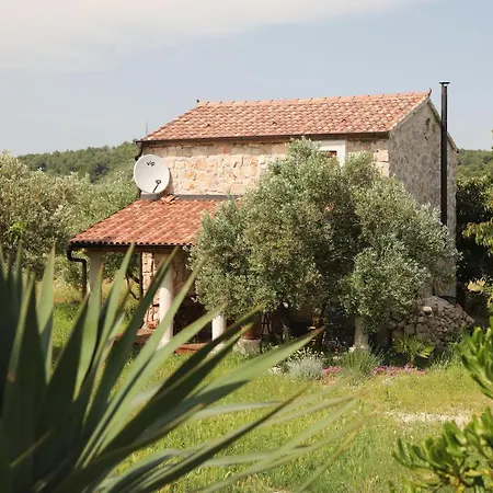 House Flamingo Pašman