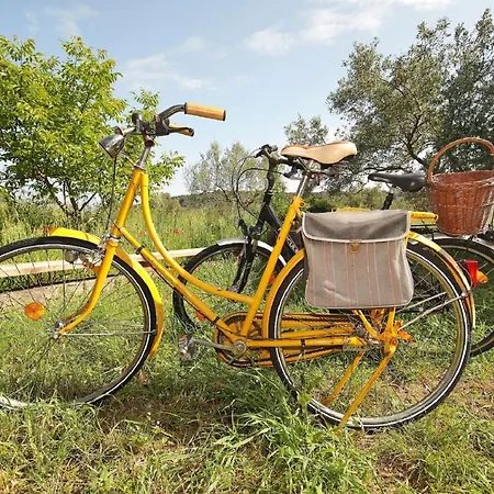 House Flamingo Nyaraló *